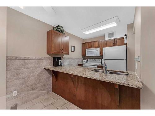 401-738 3 Avenue Sw, Calgary, AB - Indoor Photo Showing Kitchen With Double Sink