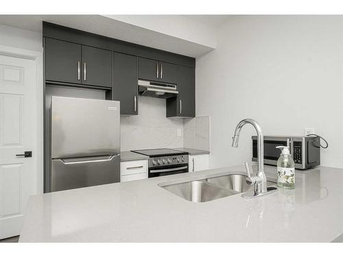 25 Cityline Gate Ne, Calgary, AB - Indoor Photo Showing Kitchen With Double Sink With Upgraded Kitchen