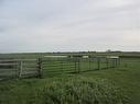 250 Range Road, Rural Wheatland County, AB 