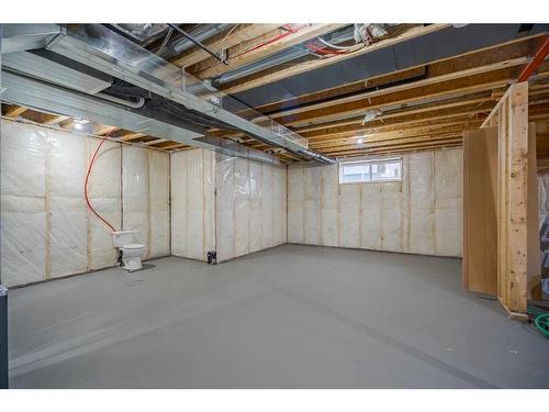 300 Watercrest Place, Chestermere, AB - Indoor Photo Showing Basement