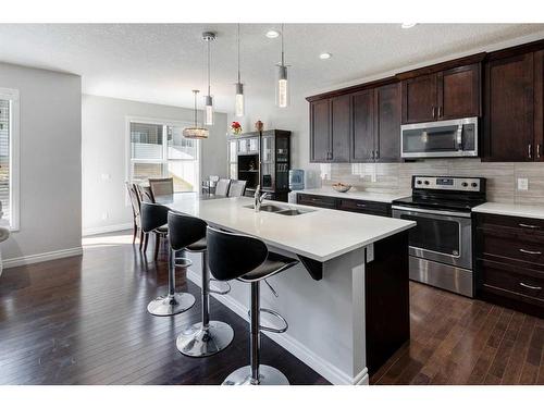 61 Nolanhurst Rise Nw, Calgary, AB - Indoor Photo Showing Kitchen With Double Sink With Upgraded Kitchen