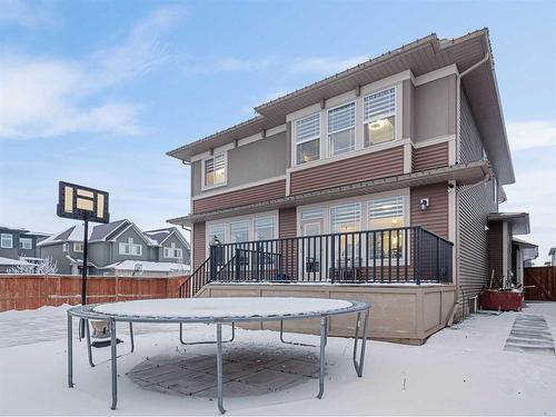 441 Kinniburgh Cove, Chestermere, AB - Outdoor