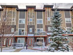 408 Skyview Point Place NE Calgary, AB T3N 0L7