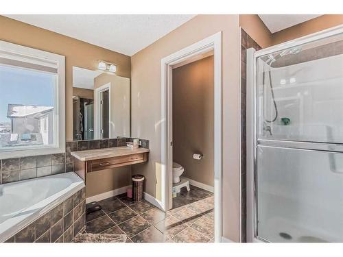 37 Skyview Springs Road Ne, Calgary, AB - Indoor Photo Showing Bathroom