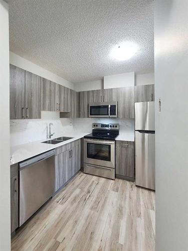 2310 17A Street Sw, Calgary, AB - Indoor Photo Showing Kitchen With Double Sink