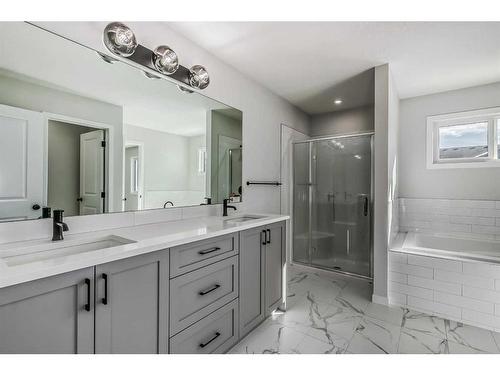 283 Calhoun Crescent Ne, Calgary, AB - Indoor Photo Showing Bathroom