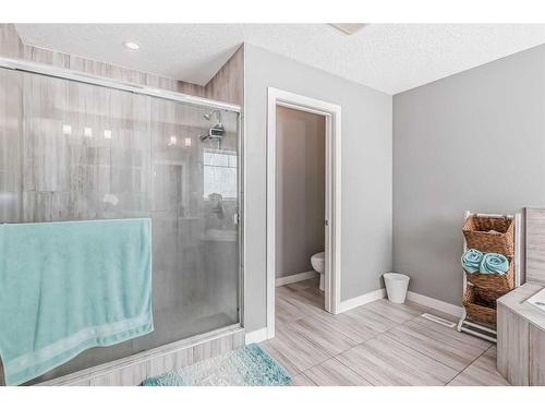 19 Lakewood Mews, Strathmore, AB - Indoor Photo Showing Bathroom