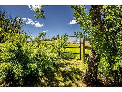 578128 8 Street East, Rural Foothills County, AB - Outdoor With View