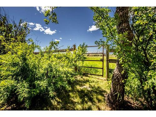 578128 8 Street East, Rural Foothills County, AB - Outdoor