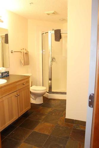 308-1160 Railway Avenue, Canmore, AB - Indoor Photo Showing Bathroom