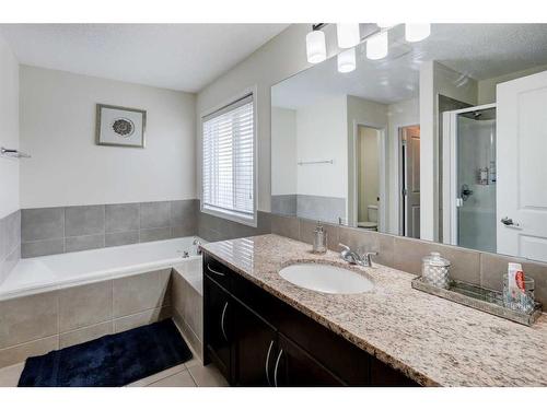 27 Skyview Shores Road Ne, Calgary, AB - Indoor Photo Showing Bathroom