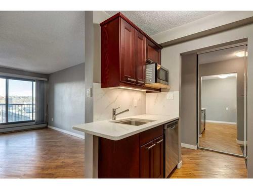 408-1330 15 Avenue Sw, Calgary, AB - Indoor Photo Showing Kitchen