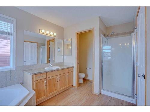 42 Saddlecrest Crescent Ne, Calgary, AB - Indoor Photo Showing Bathroom