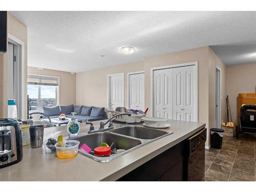 404-7130 80 Avenue Ne, Calgary, AB - Indoor Photo Showing Kitchen With Double Sink