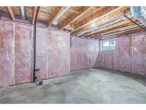 114 Waterford Road, Chestermere, AB - Indoor Photo Showing Basement