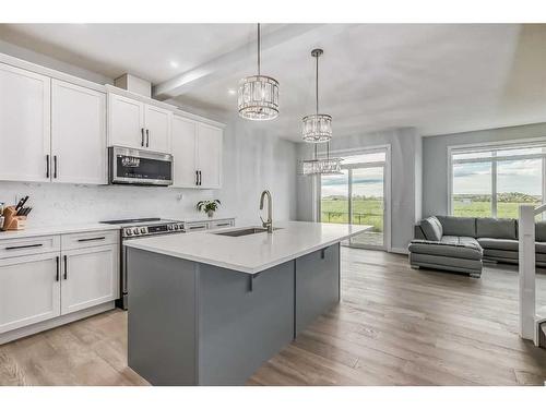 114 Waterford Road, Chestermere, AB - Indoor Photo Showing Kitchen With Upgraded Kitchen