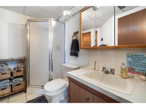 118-36240 Range Road 250, Rural Red Deer County, AB - Indoor Photo Showing Bathroom