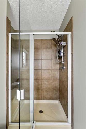 31 Cranfield Link Se, Calgary, AB - Indoor Photo Showing Bathroom