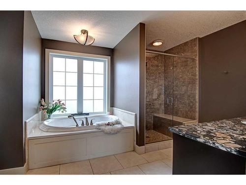 232060 Range Road 245, Rural Wheatland County, AB - Indoor Photo Showing Bathroom