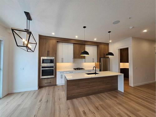110 Saddlepeace Manor Ne, Calgary, AB - Indoor Photo Showing Kitchen With Upgraded Kitchen