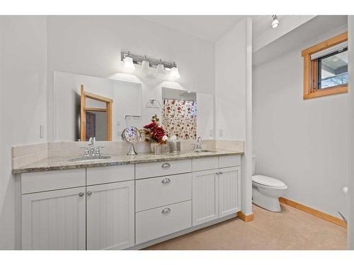 38139 Range Road 265, Rural Red Deer County, AB - Indoor Photo Showing Bathroom