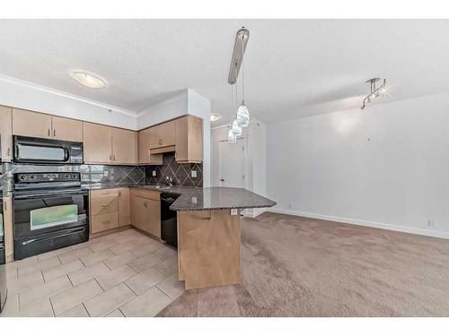 607-8880 Horton Road Sw, Calgary, AB - Indoor Photo Showing Kitchen With Double Sink
