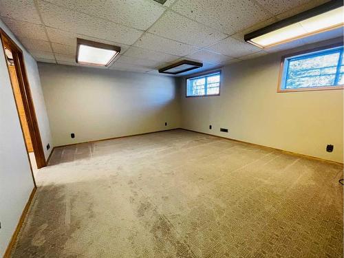 388 Whiteridge Crescent Ne, Calgary, AB - Indoor Photo Showing Basement