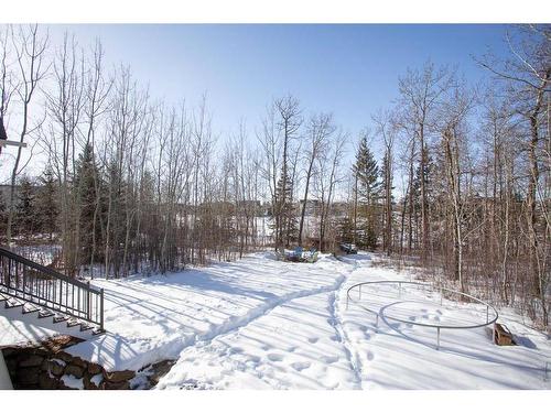 220 Canal Street, Rural Ponoka County, AB - Outdoor With View