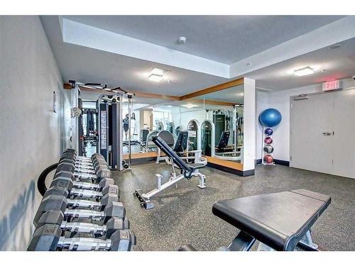 304-560 6 Avenue Se, Calgary, AB - Indoor Photo Showing Gym Room