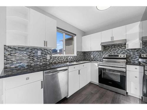 47 Martindale Boulevard Ne, Calgary, AB - Indoor Photo Showing Kitchen With Stainless Steel Kitchen With Upgraded Kitchen