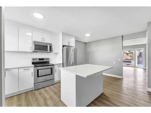 16 Castlepark Way Ne, Calgary, AB - Indoor Photo Showing Kitchen With Stainless Steel Kitchen With Upgraded Kitchen