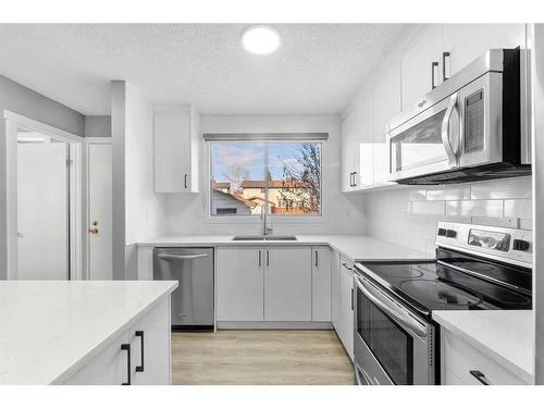 16 Castlepark Way Ne, Calgary, AB - Indoor Photo Showing Kitchen With Double Sink