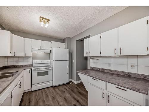 111 Pinemill Mews Ne, Calgary, AB - Indoor Photo Showing Kitchen With Double Sink