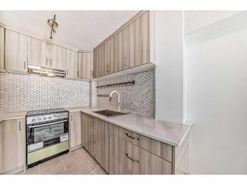 410-519 17 Avenue Sw, Calgary, AB - Indoor Photo Showing Kitchen With Upgraded Kitchen