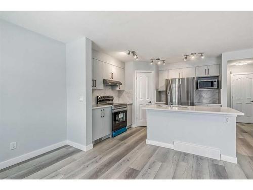 158 Saddlecrest Close Ne, Calgary, AB - Indoor Photo Showing Kitchen With Stainless Steel Kitchen With Upgraded Kitchen