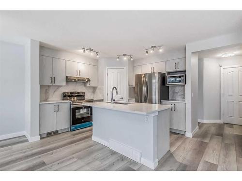 158 Saddlecrest Close Ne, Calgary, AB - Indoor Photo Showing Kitchen With Stainless Steel Kitchen With Upgraded Kitchen