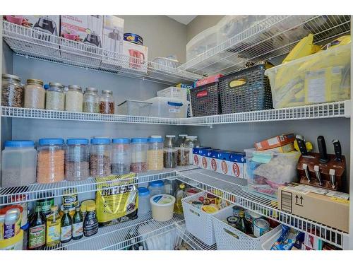 158 West Creek Springs, Chestermere, AB - Indoor With Storage