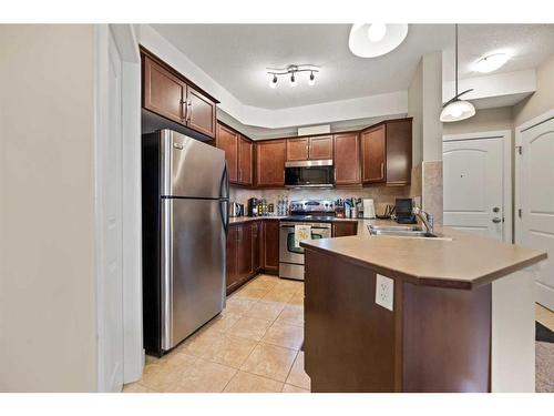 112-15304 Bannister Road Se, Calgary, AB - Indoor Photo Showing Kitchen With Stainless Steel Kitchen With Double Sink