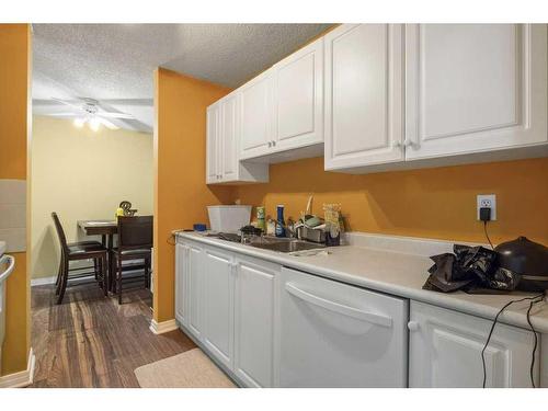 106-30 Mchugh Court Ne, Calgary, AB - Indoor Photo Showing Kitchen With Double Sink