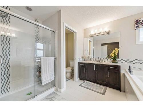 213 Walden Heights Se, Calgary, AB - Indoor Photo Showing Bathroom
