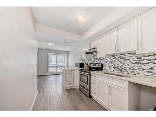 305-1820 9 Street Sw, Calgary, AB - Indoor Photo Showing Kitchen With Double Sink With Upgraded Kitchen