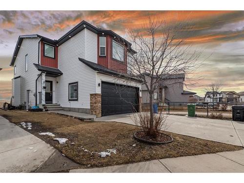 28 Saddlebrook Landing Ne, Calgary, AB - Outdoor