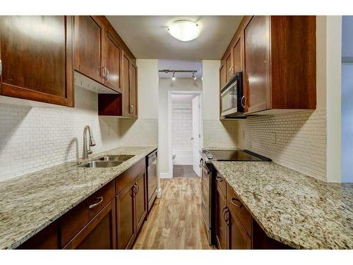 104-824 4 Avenue Nw, Calgary, AB - Indoor Photo Showing Kitchen With Double Sink