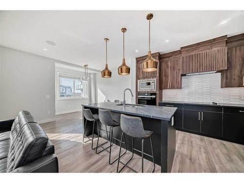 4827 87 Avenue Ne, Calgary, AB - Indoor Photo Showing Kitchen With Upgraded Kitchen