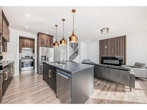 4827 87 Avenue Ne, Calgary, AB - Indoor Photo Showing Kitchen With Upgraded Kitchen