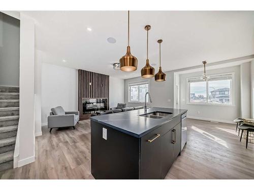 4827 87 Avenue Ne, Calgary, AB - Indoor Photo Showing Kitchen With Double Sink