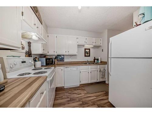 306-145 Point Drive Nw, Calgary, AB - Indoor Photo Showing Kitchen With Double Sink