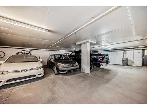 306-145 Point Drive Nw, Calgary, AB - Indoor Photo Showing Garage