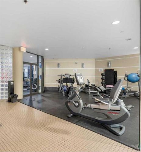 502-1088 6 Avenue Sw, Calgary, AB - Indoor Photo Showing Gym Room