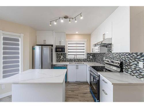 42 Coverdale Way Ne, Calgary, AB - Indoor Photo Showing Kitchen With Double Sink With Upgraded Kitchen